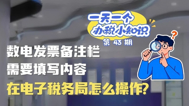 办税小知识：数电发票备注栏需要填写内容，在电子税务局怎么操作？